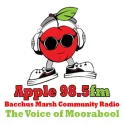 Apple 98.5 FM