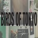Tdog.Radio – Birds Of Tokyo