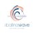 The Ballina Wave